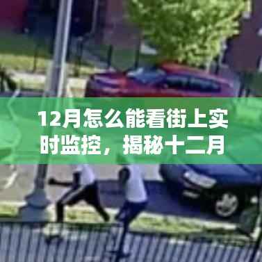 揭秘十二月街头实时监控观看方法与技巧