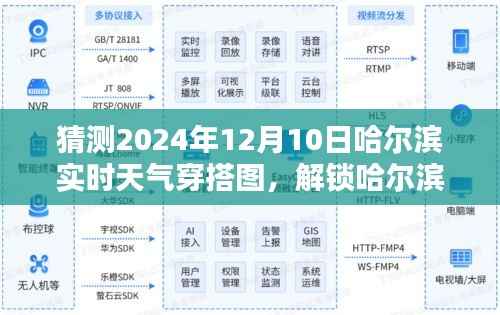 解锁哈尔滨时尚穿搭指南，预测2024年12月10日哈尔滨实时天气穿搭图
