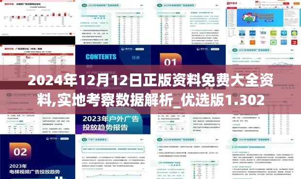2024年12月12日正版资料免费大全资料,实地考察数据解析_优选版1.302