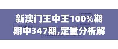 新澳门王中王100%期期中347期,定量分析解释定义_移动版110.103