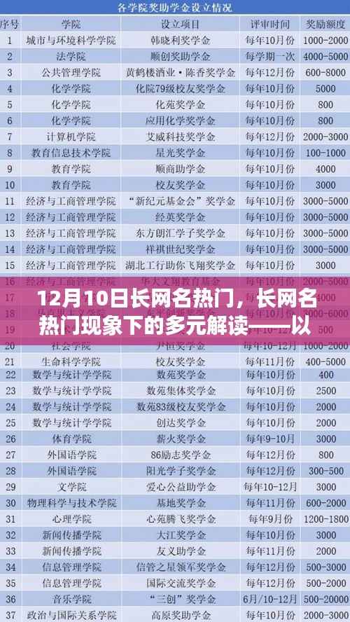 12月10日长网名热门现象,多元解读与探讨