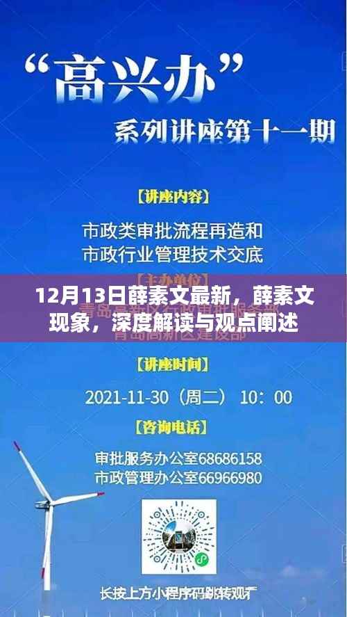 薛素文现象深度解读与观点阐述，最新解读与阐述