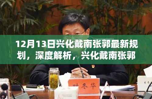 兴化戴南张郭最新规划深度解析，城市未来蓝图展望（12月13日发布）