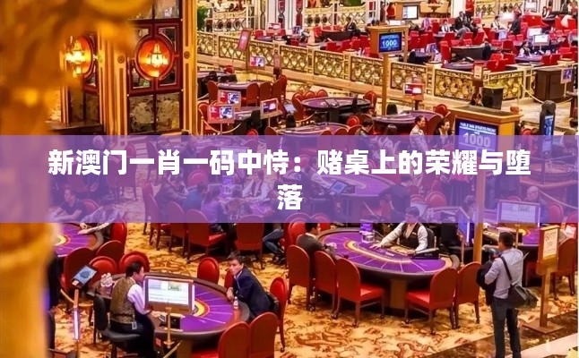 新澳门一肖一码中恃:赌桌上的荣耀与堕落