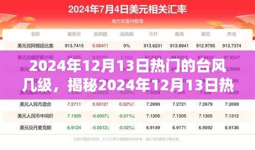 揭秘，2024年12月13日热门台风等级及深度解析与科普知识分享