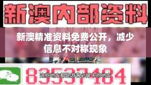 新澳精准资料免费公开,减少信息不对称现象