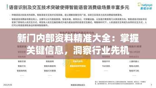 新门内部资料精准大全：掌握关键信息，洞察行业先机