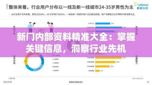 新门内部资料精准大全:掌握关键信息,洞察行业先机