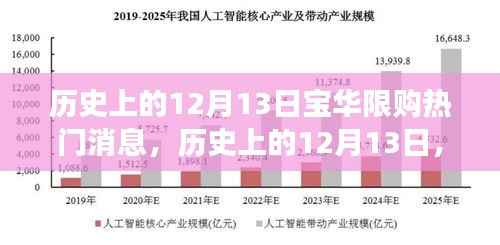 历史上的12月13日,宝华地产限购政策出台热门消息解读
