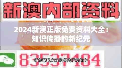 2024新澳正版免费资料大全:知识传播的新纪元