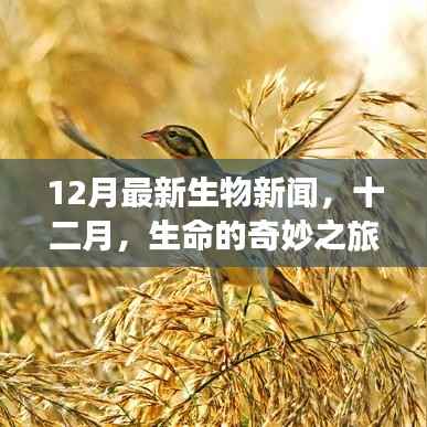 十二月生物新闻速递,生命奇迹与暖心故事盘点
