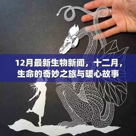 十二月生物新闻速递,生命奇迹与暖心故事盘点