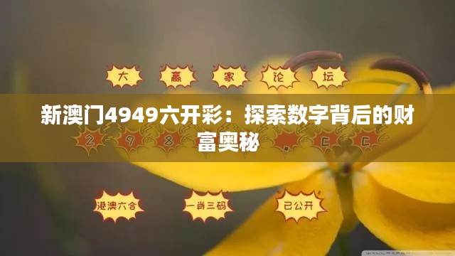 新澳门4949六开彩:探索数字背后的财富奥秘