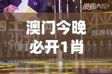 澳门今晚必开1肖:命运之轮的转动