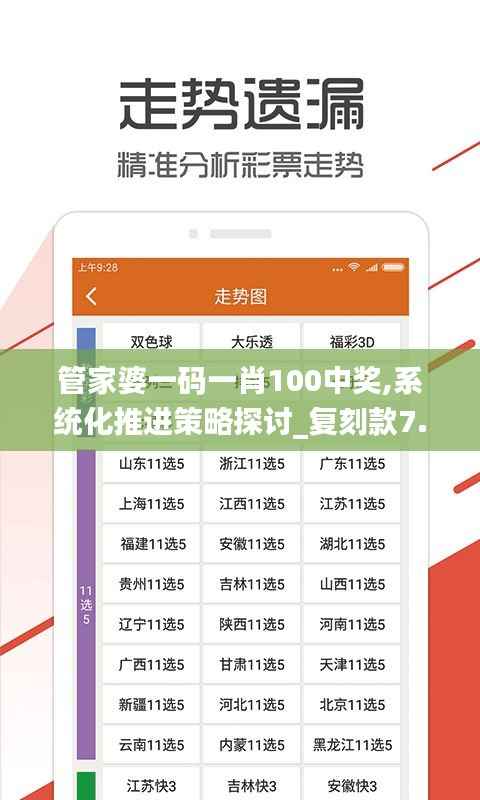 管家婆一码一肖100中奖,系统化推进策略探讨_复刻款7.425