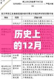 河南省生育保险最新政策解读,科技重塑生育保障,政策之光照亮民生未来之路(12月13日版)