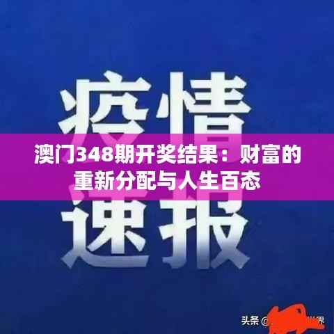 澳门348期开奖结果:财富的重新分配与人生百态