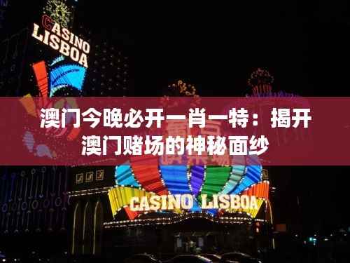 澳门今晚必开一肖一特:揭开澳门赌场的神秘面纱