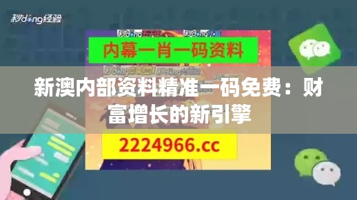 新澳内部资料精准一码免费:财富增长的新引擎