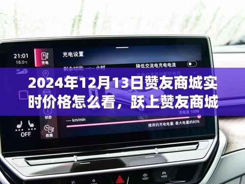 赞友商城实时价格解析,掌握变化,跃上商城魔力之旅