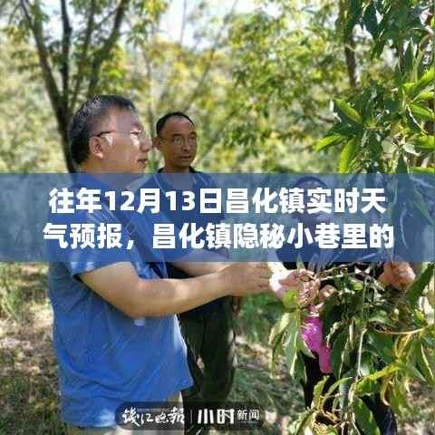 昌化镇隐秘小巷的惊喜之旅,实时天气预报与独特风味体验