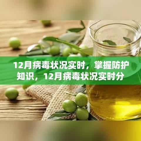 12月病毒实时状况分析与防护指南，掌握必备知识，守护网络安全