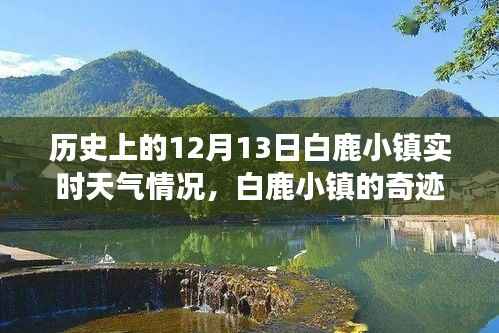 白鹿小镇奇迹日,历史中的自我超越与励志故事,12月13日的实时天气回顾