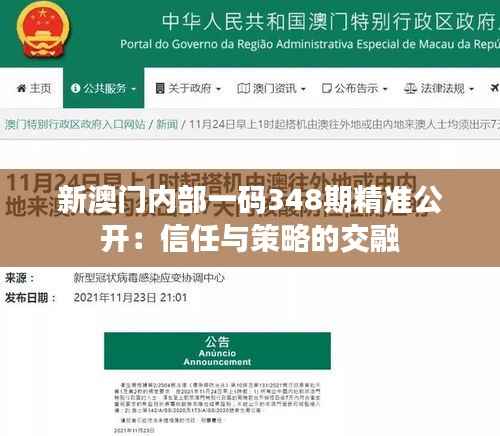 新澳门内部一码348期精准公开:信任与策略的交融