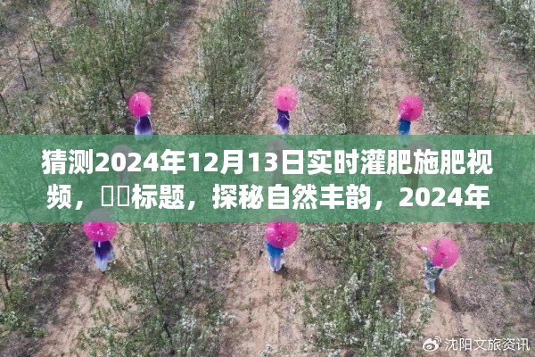 探秘自然丰韵,追寻内心的宁静与沃土——2024年实时灌肥施肥之旅