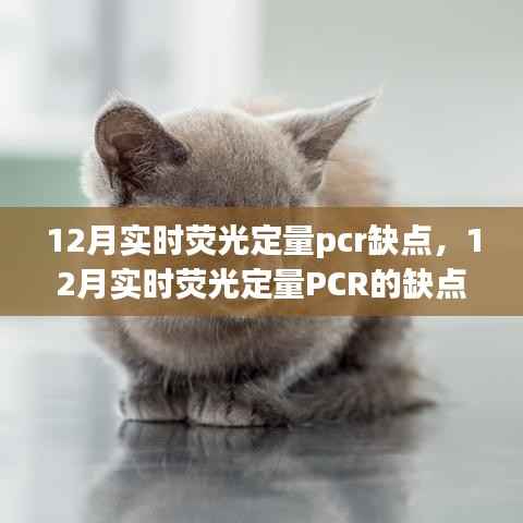 12月实时荧光定量PCR的缺点分析与应对指南