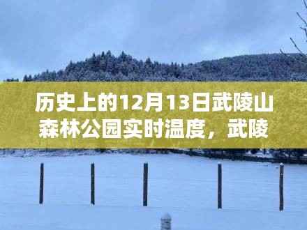 武陵山森林公园,历史温度与深林秘密,温暖瞬间与惊喜逅逢的12月13日