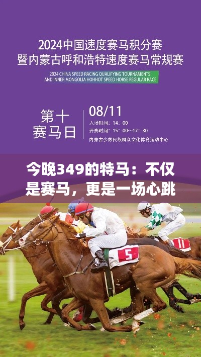 今晚349的特马:不仅是赛马,更是一场心跳之旅