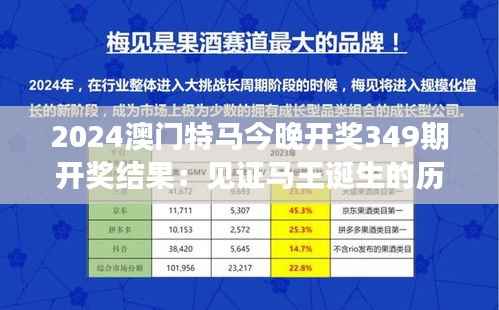 2024澳门特马今晚开奖349期开奖结果:见证马王诞生的历史时刻