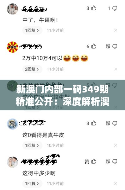 新澳门内部一码349期精准公开:深度解析澳门彩票市场