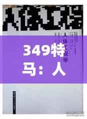 349特马:人体工程学的极致应用