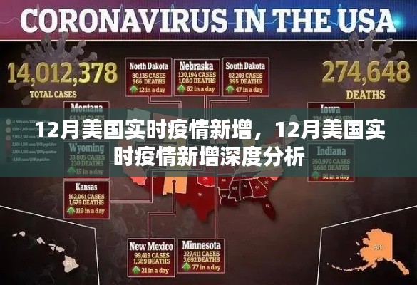 美国实时疫情动态，深度分析新增病例数据（十二月版）
