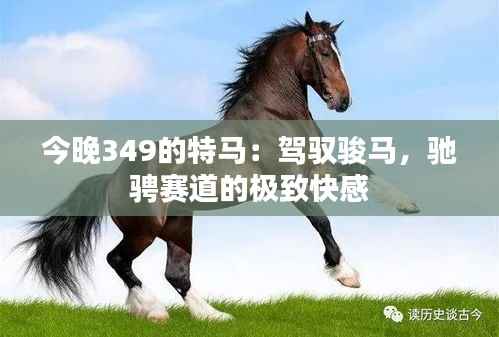 今晚349的特马:驾驭骏马,驰骋赛道的极致快感