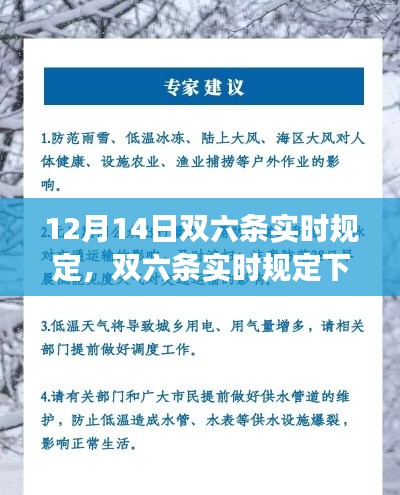 双六条实时规定下的奇妙冬日趣事,12月14日新规解读