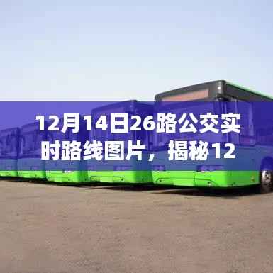 揭秘,最新动态下的12月14日26路公交实时路线图片解读与动态更新