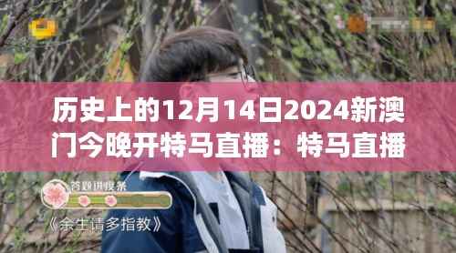历史上的12月14日2024新澳门今晚开特马直播：特马直播，让观众零距离感受历史