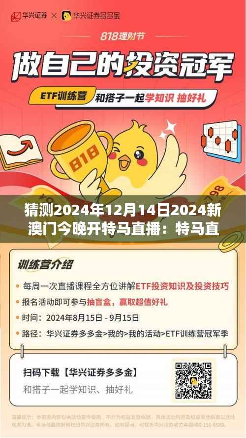 猜测2024年12月14日2024新澳门今晚开特马直播：特马直播，澳门的豪华夜宴