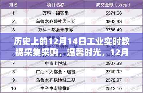 百鸟归巢 第5页