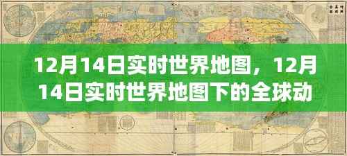 12月14日实时世界地图,全球动态与观点交锋一览