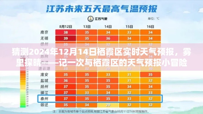 雾探晴日,探秘栖霞区天气预报之旅,一次天气预报小冒险(2024年12月14日)
