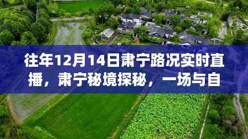 往年12月14日肃宁路况直播回顾,秘境探秘与自然美景的邂逅