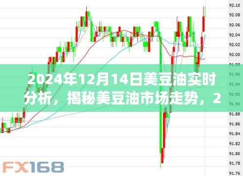 揭秘美豆油市场走势,2024年12月14日实时分析与未来行情展望