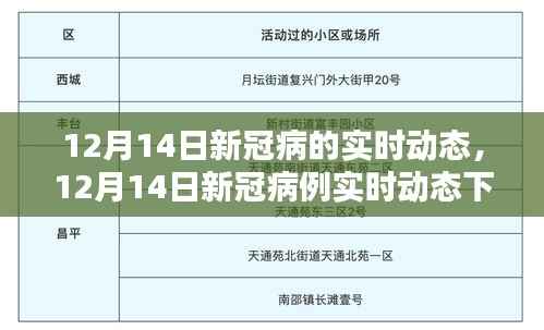 12月14日新冠病例实时动态观察与某某观点探析
