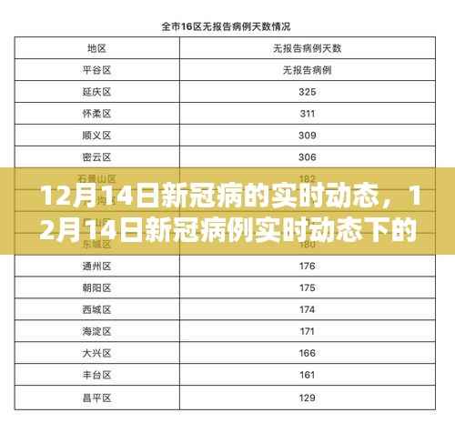 12月14日新冠病例实时动态观察与某某观点探析