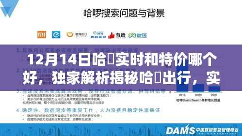 独家解析，哈啰出行实时拼车与特价车服务对比，哪个更适合你？