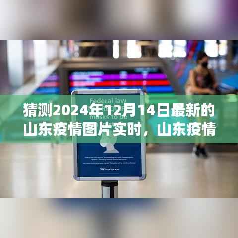 山东疫情未来趋势与现状体验分析,实时图片预测及解读(最新预测,2024年12月14日)